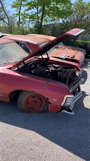 $4000 1967 impala ss rusty. Sitting 35 to 40 years somebody needs to save this 1967 Chevy Impala SS odometer shows 72,824 miles V8#epicpick2025 #wherezlucas #rusttorods #stationwagon #Ohio #wagon #belair #nomad #Chevrolet #pickers #usa #bubbletop #chevy #rockfordfiles #stationwagon #forsale #sale#biscayne #impala #usa #unitedstates #america #projectMentor, OhioIf you know anybody looking for a 1967 Impala project, please feel free to share my ad | Joe Edward Lucas