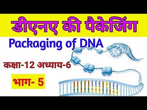 Packaging of DNA