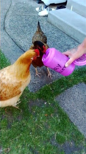 Bokken n Krumb banquet boutique