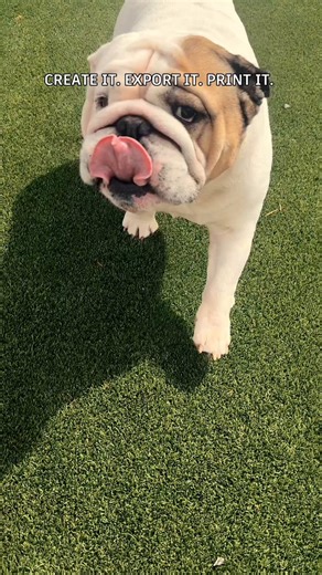 With Autodesk Flow Studio, 3D printing can start with just a prompt.Inspired by her own dog, @thehippiehacker used Text to 3D to create a bulldog-shaped glasses holder, refined the model, and exported it for 3D printing—so her dog could show up in her workspace in a whole new way.What would you print? 👀