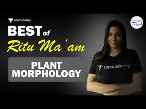 Best of Ritu Rattewal | Plant Morphology | NEET Biology | NEET 2021 | PerfectioNEET