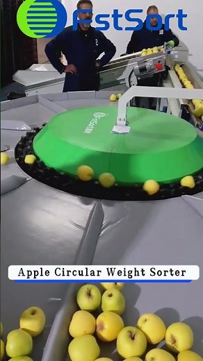 Tired of Slow Apple Sorting? See How We Do It in Minutes! ⏱️