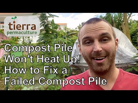 Compost Pile Won't Heat Up! | How to Fix a Failed Compost Pile | Tropical Permaculture Homestead