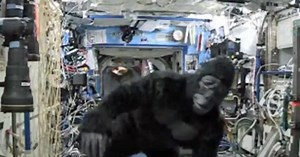 Going ape on the International Space Station