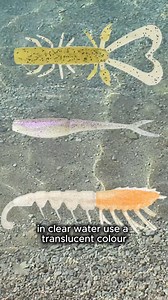 Sometimes selecting the right lure colour can be overwhelming 🤯 Heres a simple theory you can apply to make things easy! Clear water = clear/translucent colours Green water = greens & browns Dirty water = solid & dark tones. Theres plenty of colour theories out there, all have merit but sometimes simplicity is best. Link in BIO to download the Lure Colour sheet! #lurefishing #fishingtips #saltwaterfishing #freshwaterfishing | My Fishing Coach