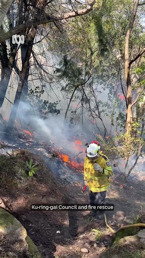 29K views · 148 reactions | The NSW Rural Fire Service (RFS) and...