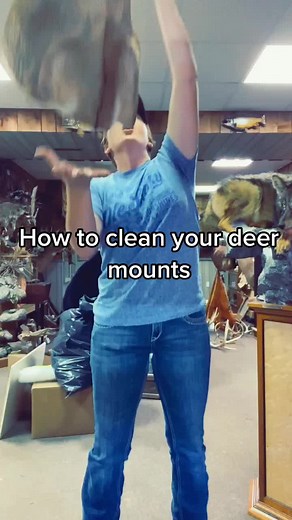 How to Clean Your Deer Mounts: Essential Tips