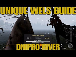 How To Farm Giant unique WELS CATFISH Dnipro river Fishing Planet 2025 guide