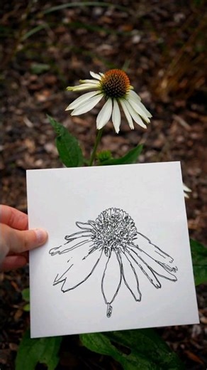 An algorithm drew this flower! 🌼 #illustration #drawing #generativeart #flowers