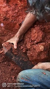 The Crystal Collector on Reels