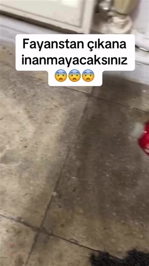 Çok İzlenen Videoları Tekrar Paylaşma Akımı: Nasıl Etkiler?