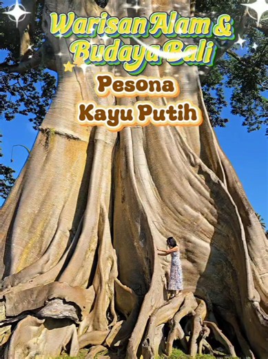 Kayu Putih: A Symbol of Harmony in Bali