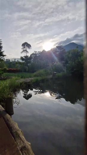 suasana pagi view gunung puntang #❤️ #saripuntang #gunungpuntang #bandung