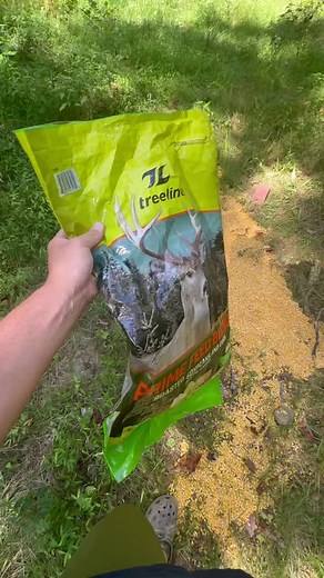 52K views · 661 reactions | These Trackers are Great for Your Hunting Dogs! #hounds #houndsman #huntingdog | Fishin’ with Tate | Facebook