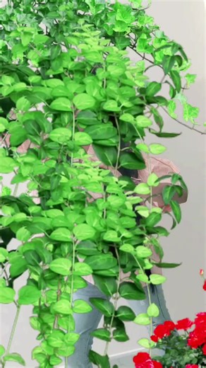 Expressive Dance Movements with Sign Language Interpretation