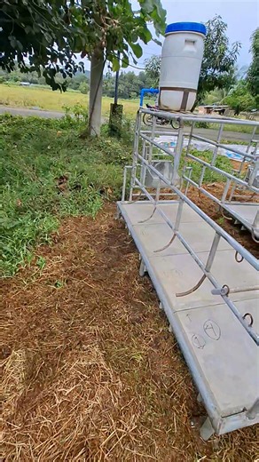 3 in 1 farrowing pen..... .. gestating pen... farrowing pen at nursery pen..... | Janjerry Alto