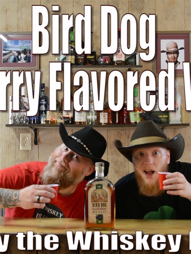 Bird Dog Blackberry Flavored Whiskey BirdDogBlackberry,BirdDogWhiskey,BlackberryWhiskey,FlavoredWhiskey,WhiskeyReview,WhiskeyTasting,DrinkReview,AlcoholReview,BoozeReview,AdultBeverages,SweetWhiskey,FruitFlavoredSpirits,CocktailIdeas,BarFavorites,SpiritsReview,WhiskeyLovers,FlavorProfile,CheersTime