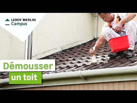 Comment démousser une toiture ? Leroy Merlin