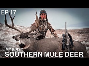 MY FIRST MULE DEER – Alberta Spot & Stalk Hunt