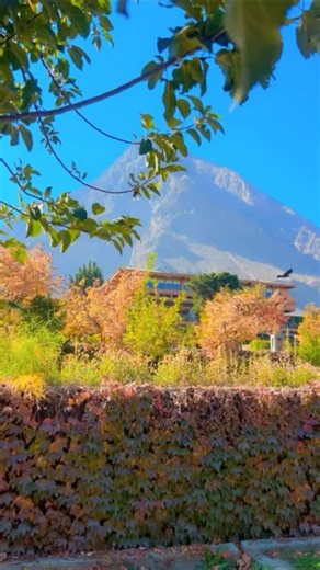 The art of autumn comes alive, painted by nature, captured beautifully at Gilgit Serena Hotel. 🍁☘️🌸🍂 #serenahotels #gilgitserenahotel #experience #autumn #explorar #hospitality #nature #gilgit_heaven_on_earth | Gilgit Serena Hotel