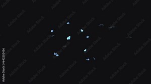 Butterfly Swarm - Blue Adonis - Flying Loop - LS - Realistic 3D animation effect with alpha channel on transparent background