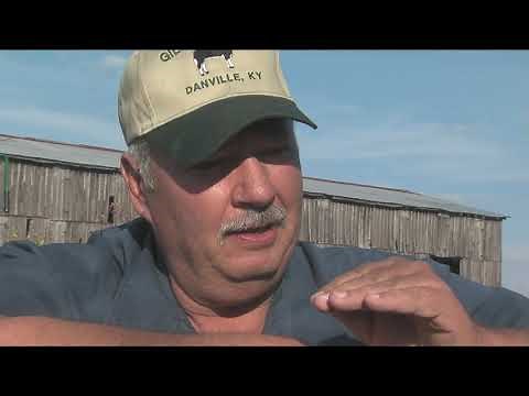 Benny Gilbert Stocker Operation