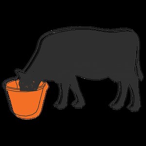 Authorized Dealers - Riomax® 360