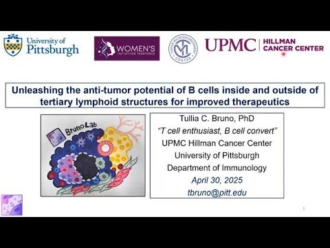 Unleashing the anti-tumor potential of B cells and tertiary lymphoid structures for improved...