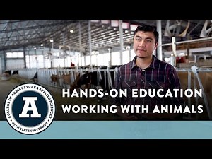 What to Expect - Animal, Dairy, and Veterinary Sciences