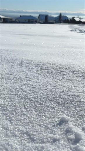 Adorable Water Pokemon Snap Moment