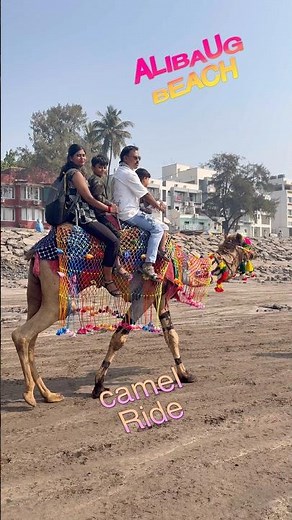 Camel Ride in Alibaug 🐪 | Family Fun on Beach | #Shorts