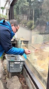Feeding the Fennec fox ￼￼