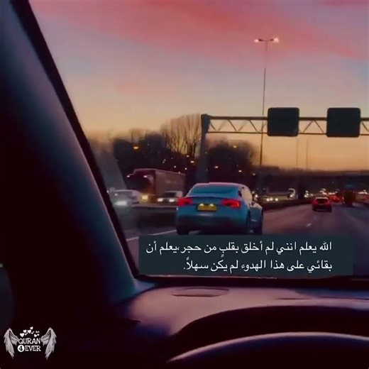 نور الكتاب الحق✨ #سورة_آل_عمران #الحي_القيوم #الإسلام #ذكر_الله #الهداية #quran #islamicreminder