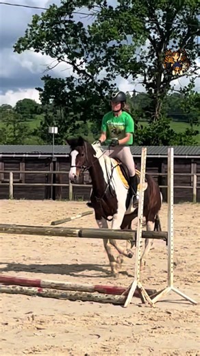 SO und nicht anders! Mir ist bewusst, dass ich auf manchen Clips meine Hände vielleicht ein bisschen zu weit nach vorne gebe. Trotzdem ist mir diese Bewegung beim Springreiten sehr wichtig, weil sie dem Pferd die nötige Freiheit gibt, sich über dem Sprung korrekt zu bewegen. Wenn ein Pferd springt, braucht es die Möglichkeit, Hals und Kopf nach vorne zu strecken. Diese Bewegung gehört zur natürlichen Sprungtechnik des Pferdes und hilft ihm, Balance zu halten und den Rücken aufzuwölben. Gibt der 