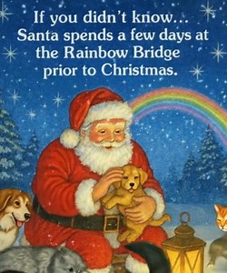On a starlit path of moonbeam, where the softest heavens glow, There lies a bridge of colors that only kind hearts know. And every year, before his flight through rooftops far and wide, Santa makes a special stop on the Rainbow Bridge’s side. The air is filled with laughter, gentle paws and tiny wings, Whispers of remembered love that only Christmas brings. He’s greeted by the wagging tails, the purrs, the happy cheer— For all the pets who crossed the bridge know Santa’s coming near. He kneels a
