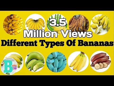 DIFFERENT TYPES OF BANANAS