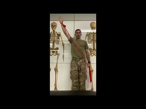 Shoulder PNF - D2 Flexion