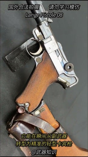 炮火阵地的最后屏障 鲁格LP08凭长管加弹鼓 定义早期个人防卫 #武器评测 #军事 #百科密码