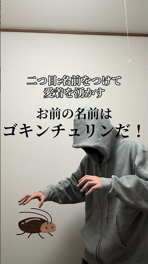 家にGが出た時の対処法5選 #コント #ゴキブリ #対処法