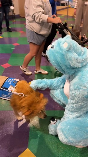 33K views · 708 reactions | May we present: Luke Evangelista dressed as a Care Bear petting a dog dressed as a lion | Nashville Predators | Facebook