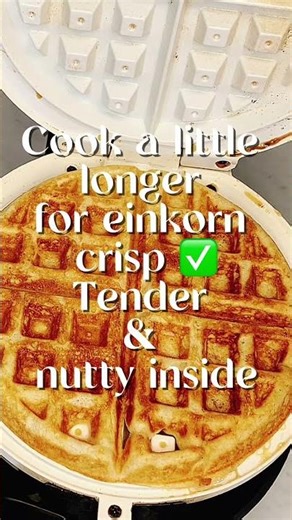 Crispy Einkorn Waffles in a 1950s Iron 🧇 Satisfying Sounds #shorts