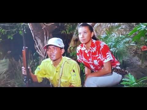 Son of Godzilla - Godzilla training Minilla