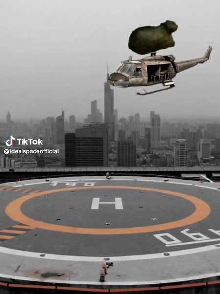 Unlocking Helicopter Meow: Talking to the Moon with Cats
