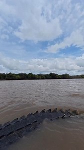 27K views · 1.3K reactions | It’s insane how effortlessly such a big animal can move through the water. Crocodilians are an evolutionary masterpiece.  Saltwater Crocodile Northern Territory Australia | Wildman Adventures | Facebook