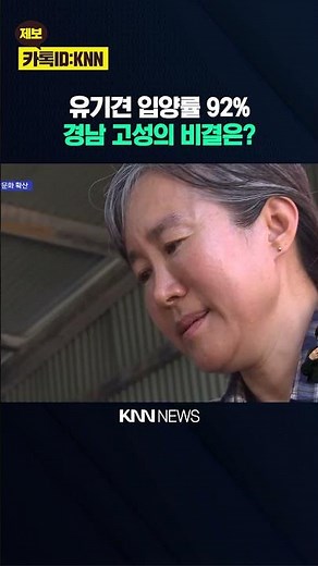 [On-Site] 92% Adoption Rate, What Is the Secret of the Animal Family Center? / KNN