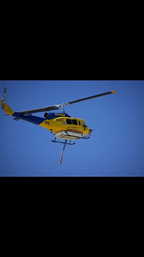 Wings of help, hovering into action  | SnapbeeShutterbug | Facebook