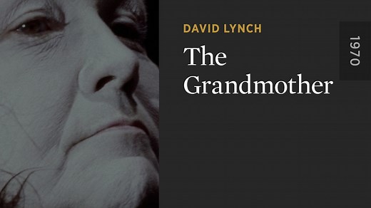 The Grandmother - The Criterion Channel