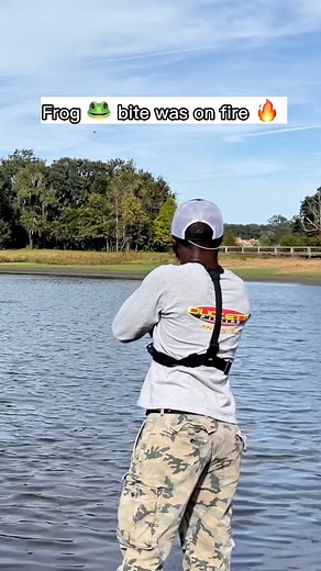 Frogs Catch Big Florida Bass 🐸🎣🌴 #bassfishing #fishing #floridafishing #bassfishingnation #fishinglife #fishingislife #bankfishing | BankFish Vince