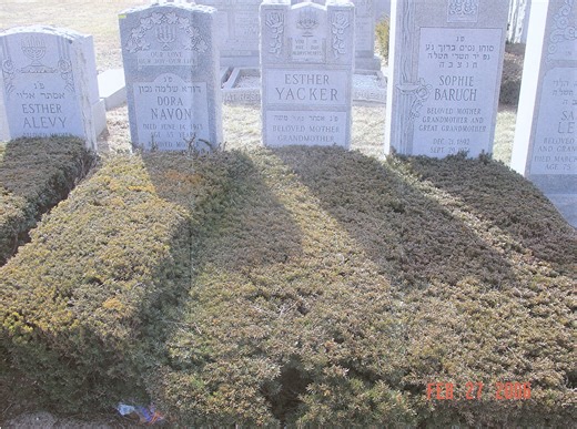 Dora Navon (unknown-1973) - Find a Grave Memorial