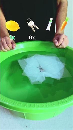 TAKE A GUESS! Can Tissues Hold These Everyday Items? 🍋🔑🥕 | Oddly Satisfying Short